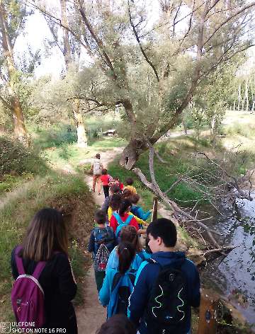 Excursión Ribera del Tirón-8